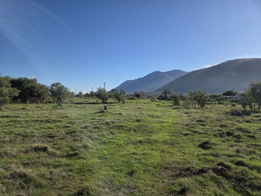 0 Bedroom Property for Sale in Gouda Western Cape